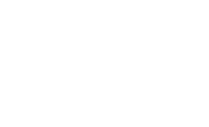 logo_isidrive_weiß