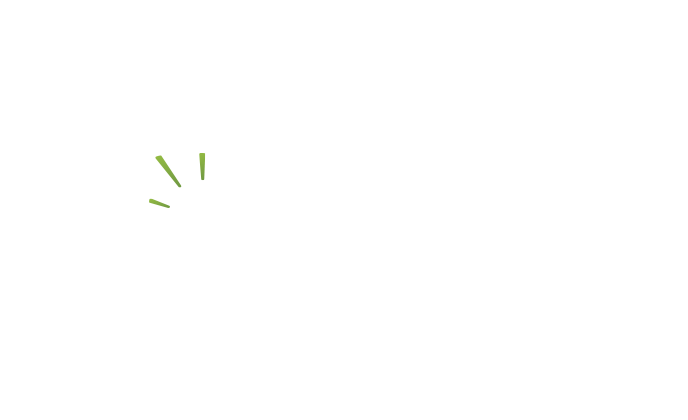 logo_netwit_weiß